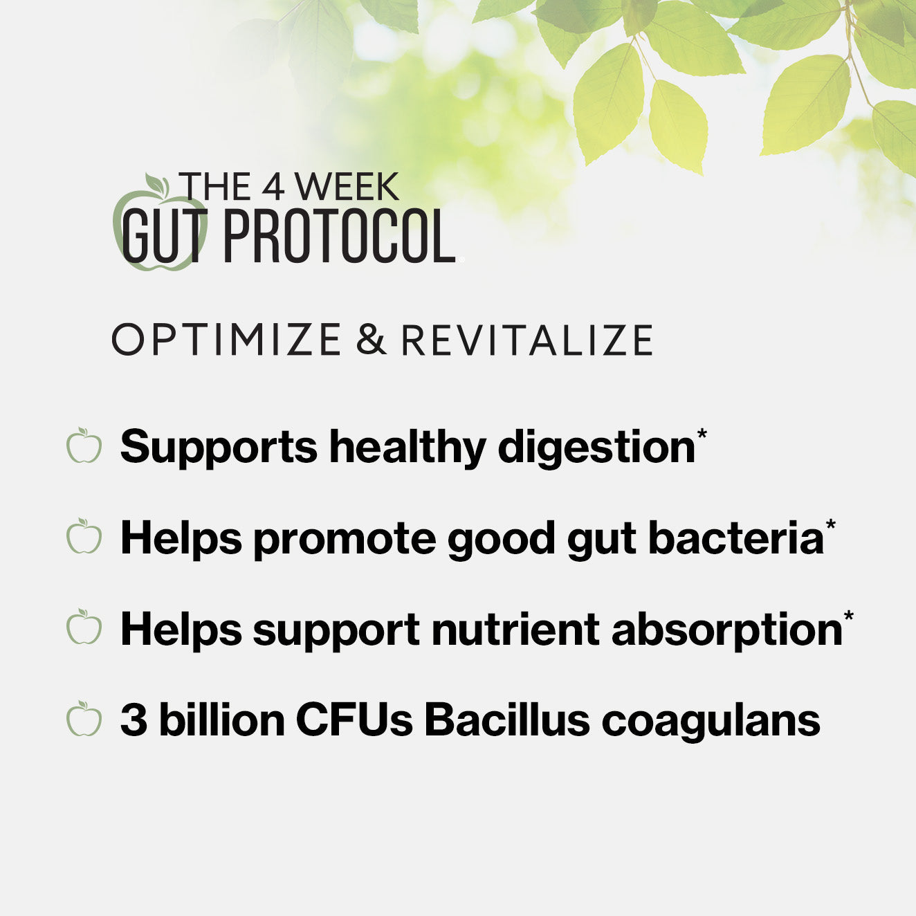 Optimize Revitalize gut health supplements key benefits