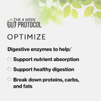 Optimize digestive enzymes key benefits