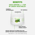 Power Greens Boost benefits