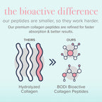 Bioactive collagen peptides