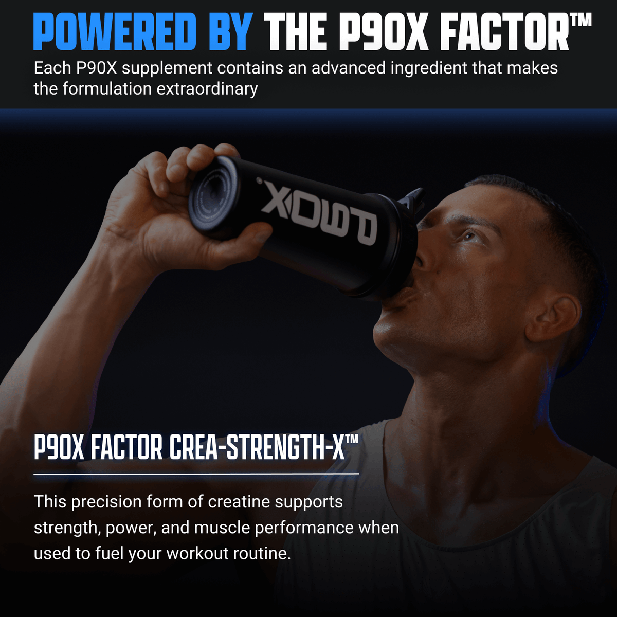 ボディプロ　strong &ten P90X Creatine Monohydrate Powder for Muscle Growth | BODi