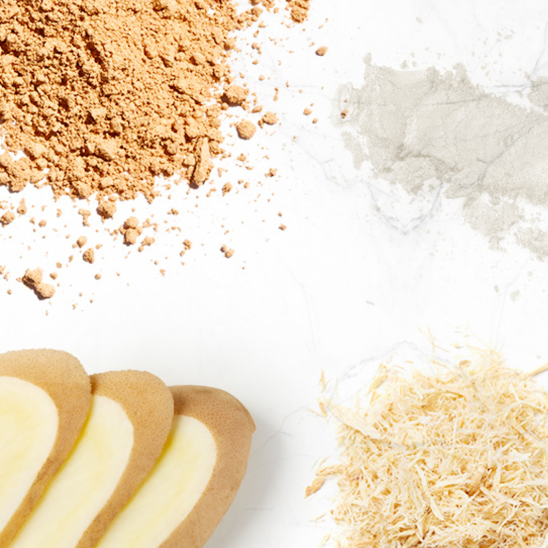 Shakeology All-in-One Probiotics & Prebiotic Fiber